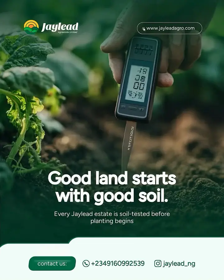 A soil tester pushed into dark farm soil among young plants