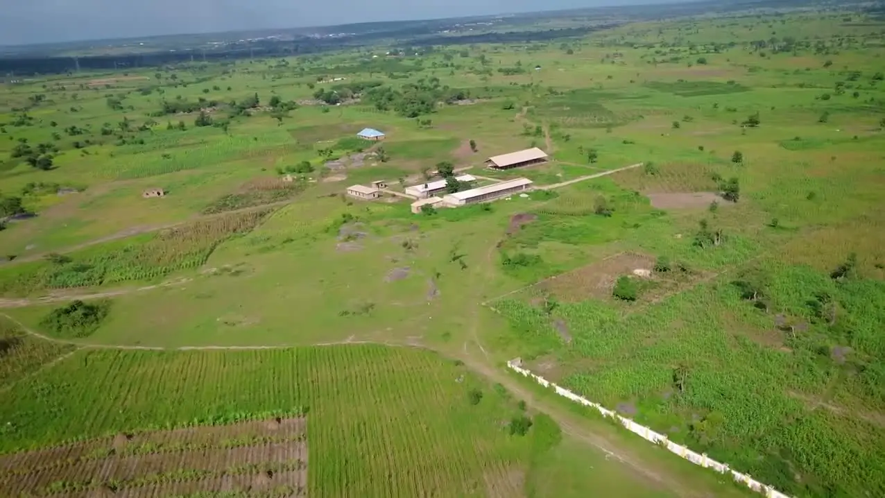 Drone view of green farmland with crop rows, a dirt track, a fence line and farm buildings